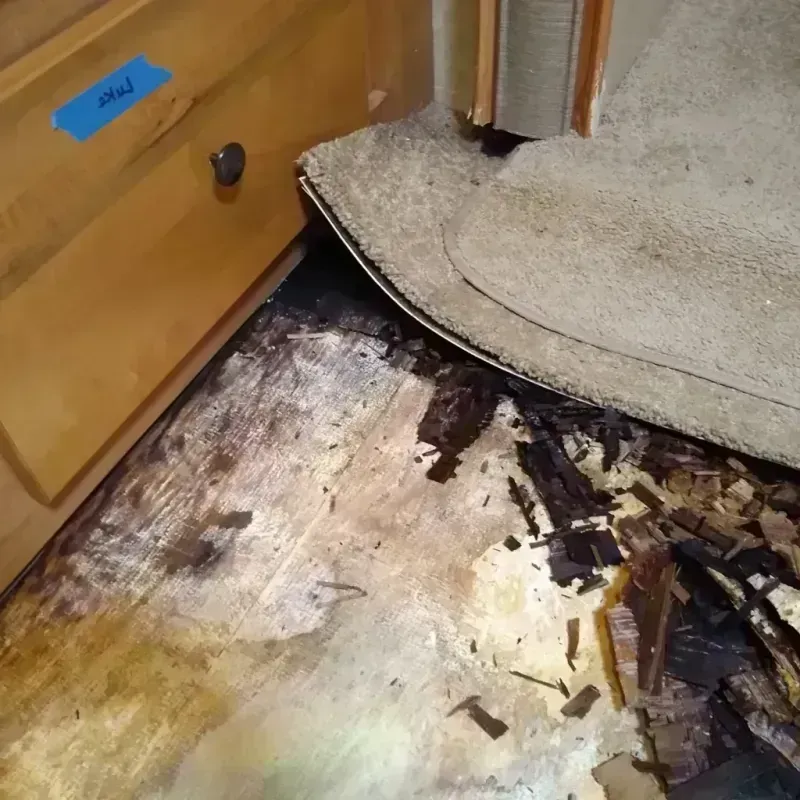 Wood Floor Water Damage in Pasadena, CA